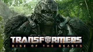 Meeting The Maximals  Transformers Rise Of The Beasts [upl. by Silbahc715]