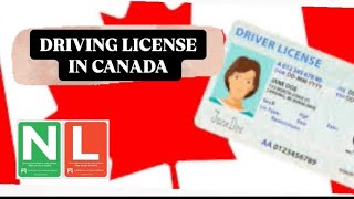 Driving license in 🇨🇦 canada humor motivation love india viralvideo [upl. by Gianna]