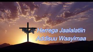 Herrega Jaalalaatiin  Addisuu Wayimaa youtube music araratvworldwide [upl. by Aeriell]