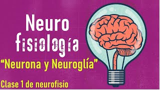 La neurona y el sistema de neuroglia como nunca la habías aprendido [upl. by Ahsaya644]