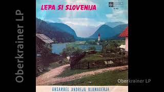 Ansambel Andreja Blumauerja  LEPA SI SLOVENIJA  1967 [upl. by Eirojam]