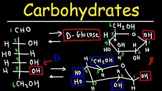 Carbohydrates  Haworth amp Fischer Projections With Chair Conformations [upl. by Mazurek]