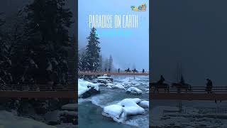 Kashmir in winter  Most Beautiful Place in India  2024 [upl. by Merv398]