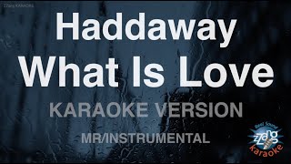 HaddawayWhat Is Love MRInstrumental Karaoke Version [upl. by Neruat416]