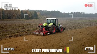 ◽🌻Talerzowanie po słoneczniku 🌻◽2024◽ZSRiT Powodowo 🇵🇱◽ Claas Axion 810 ◽ [upl. by Esinel]