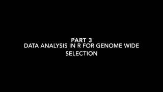 Genome Wide Selection with rrBLUP Part 3 [upl. by Petracca]