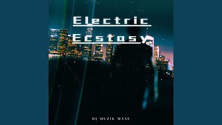 Electric Ecstasy [upl. by Swaine]