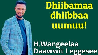 Dhiibamaa dhiibbaa uumuuHojjetaa Wangeelaa Daawwit Lggaseeburkagaritube [upl. by Trevah583]