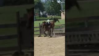 O Jezu 💀💀💀💀💀💀 equestrian horse riding [upl. by Ahterod]