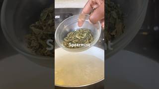 HOW to make HERBAL TEA at HOME recipe guthealth irisetoucheats [upl. by Emalia]