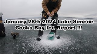 Jan 28th 2024  LAKE SIMCOE Cooks Bay Ice Report [upl. by Tristan]