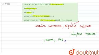 Succus entericus is made of  12  NTA NEET SET 108  BIOLOGY  NTA MOCK TESTS ENGLISH  Doubtn [upl. by Antipus]