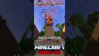 I Made Skyblock in Minecraft Hardcore 13 [upl. by Ahsienel]