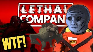 Lethal Company SCARES amp Funny Moments [upl. by Cheston]