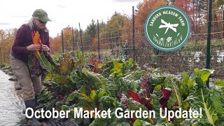 October Market Garden Update [upl. by Bannerman]