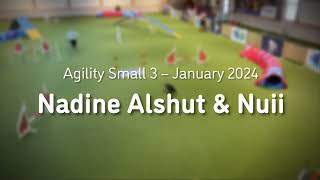 Agility Competitions in 012024 ✩ Nadine Alshut amp Nuii [upl. by Casteel]