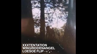 WingRiddenAngels  XXXTentation 𖤐 Loesoe Flip [upl. by Beetner]