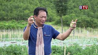 AGRICULTURE Mong Reththy Sendey AgriTourism Development AreaEps 03 [upl. by Agneta]