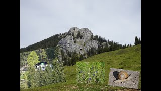 übers Naturfreundehaus zum Brünnstein [upl. by Varion]