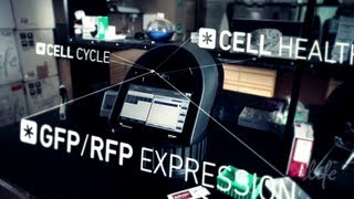 Tali® ImageBased Cytometer Demo Video [upl. by Silirama]