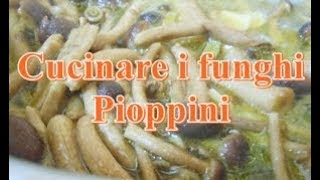 Come cucinare i funghi in padella [upl. by Akcira310]