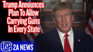 Trump Announces Plan To Allow Carrying Guns In Every State [upl. by Modie]