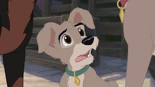 Scamp Turns on his Dad  Lady and the Tramp 2 Scamp Adventure HD [upl. by Carberry276]