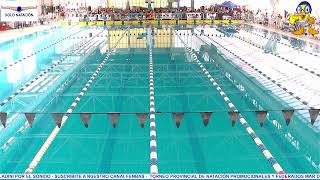 2da Jornada Campeonato Provincial de Natación Promocionales y Federados Mar del Plata 2024 [upl. by Nicolella864]