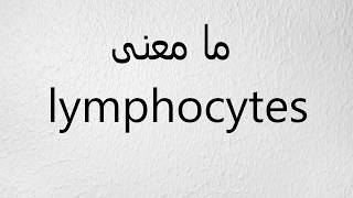 ما معنى lymphocytes [upl. by Rhett]