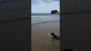 Evening Tide at Portreath Beach Cornwall [upl. by Hornstein]