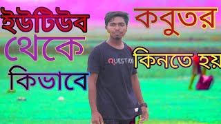 কুয়েত কবুতর কিভাবে ফারাম বানাই [upl. by Goulden]