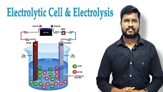 17Electrolytic Cell amp Electrolysis  Faraday Law  Electrochemistry  in Tamil [upl. by Anaugahs]