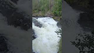 Packrafting Oulanka National Park río Kitkajoki rápido de Jyrävä [upl. by Chris268]