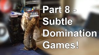 Bengal cat behaviour  Subtle changes Part 8 [upl. by Solberg805]