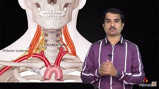 Brachial Plexus Advanced lecture  Usmle Fast Track mode  not for beginners  Dr Bhanu prakash [upl. by Legna]