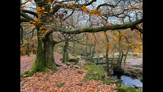 Pub to Cafe Fox House to Grindleford via Padley Gorge [upl. by O'Meara72]