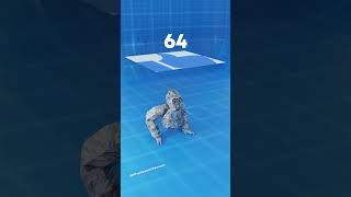 Cloth Physics On Gorilla gorillatag gtag vr blender animation satisfying tutorial asmr [upl. by Andre]