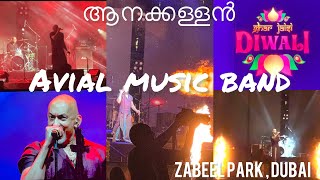 Diwali Celebration zabeelpark540 Dubai🇦🇪 Avial Music Band  emirateslovesindia  UAE [upl. by Fitzpatrick]