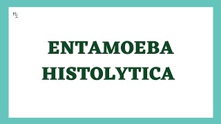 Entamoeba histolytica life cycle  morphology  Laboratory diagnosis  full explained  medzukhruf [upl. by Adnofal445]