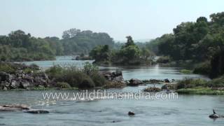 River Kaveri flowing through the Southeastern lowlands of India [upl. by Gillan751]