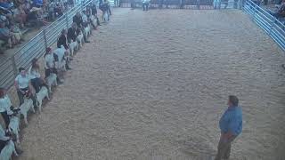 Cache County Fair amp Rodeo Junior Livestock Showcase Live [upl. by Ackerley401]