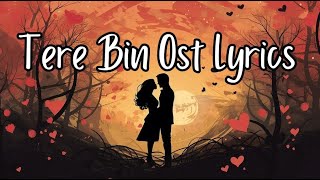 Tere Bin  OST Lyrics  ft Yumna Zaidi Wahaj Ali  Shani Arshad  Har Pal Geo [upl. by Thompson]