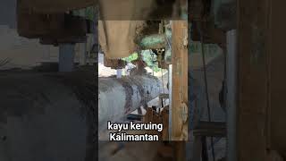 kayu keruing Kalimantan sawmill [upl. by Fransen]