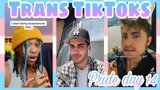 Trans FTM TikToks  Pride day 14 [upl. by Auoh401]