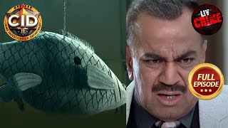 एक Fish Sculpture के राज़ को कैसे सुलझाएगी Team CID  CID  सीआईडी  Akrosh  15th July 2023 [upl. by Naloc]