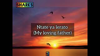 ipcc ho dula le ntate hale phirimile lyrics translation English [upl. by Atikihs16]