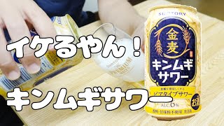 【ビール】あの金麦がサワーになって登場！？ [upl. by Earley]