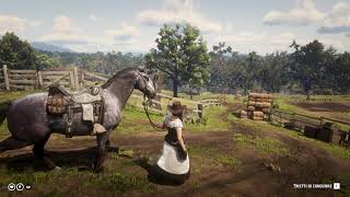 RDR2 Free Roam  Kladruber Dapple Rose Gray  No Music  IRL Horse at end [upl. by Zubkoff]