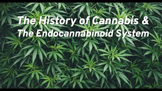 The History of Cannabis and the Endocannabinoid System  Explained 🌱 [upl. by Dyana]