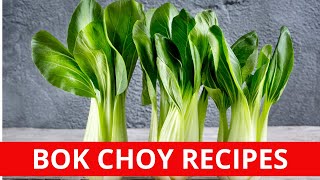 Bok Choy Recipes  How to Cook Bok Choy 3 Ways [upl. by Tuckie]